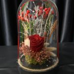 SOLMAYAN GÜL ARANJMANI